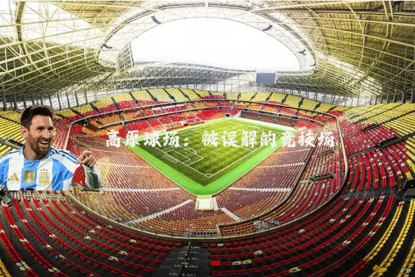 高原球场:被误解的竞技场